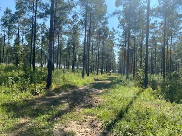 404 acres in La Salle Parish, Louisiana - Brown Realty Co