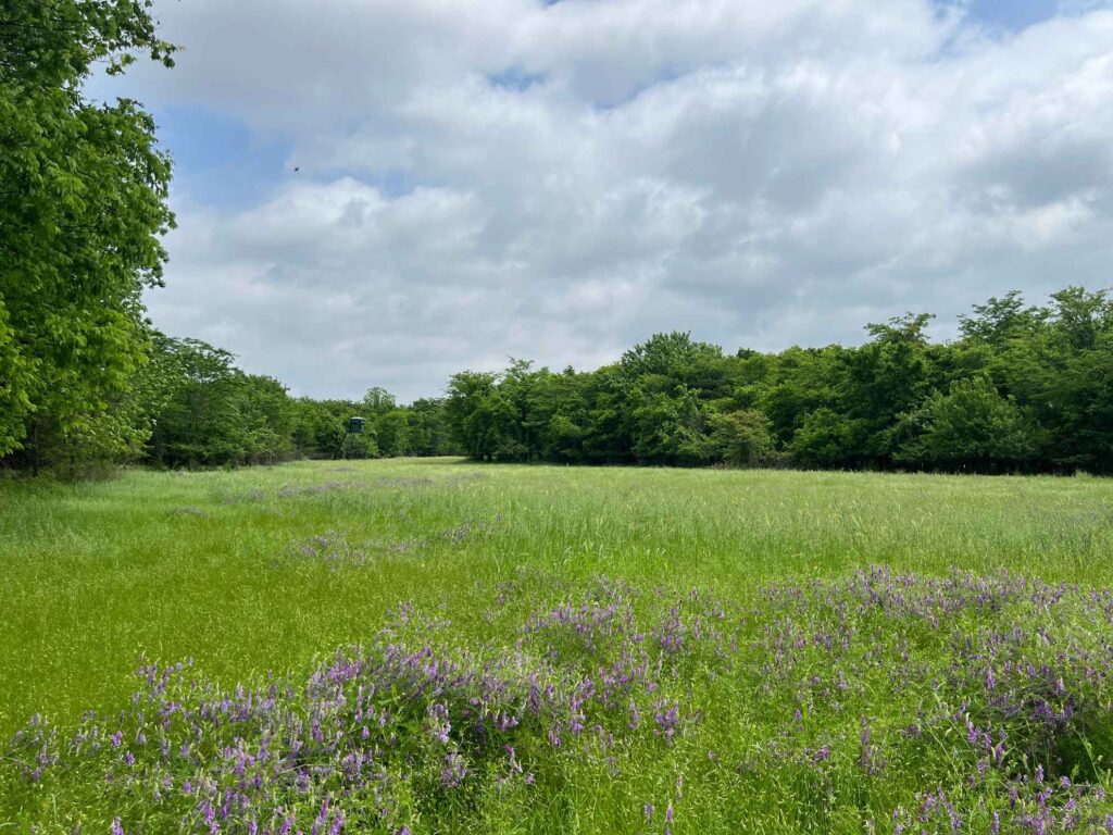 1004 acres in Mississippi County, Arkansas - Brown Realty Co