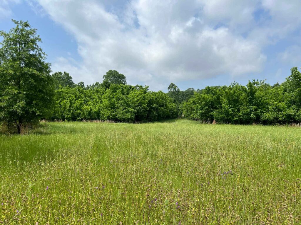 1004 acres in Mississippi County, Arkansas - Brown Realty Co