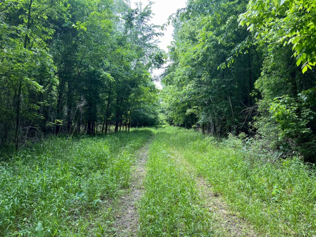 1004 acres in Mississippi County, Arkansas - Brown Realty Co